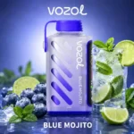 Vozol Gear Power 20000 Blue Mojito