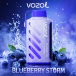 Vozol Gear Power 20000 Blueberry Storm