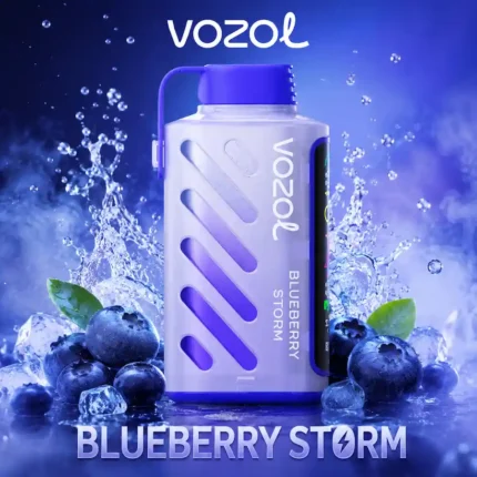 Vozol Gear Power 20000 Blueberry Storm