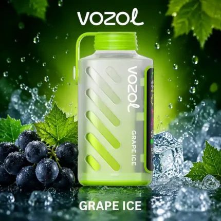 Vozol Gear Power 20000 Grape Ice