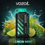 Vozol Gear Power 20000 Lemon Mint