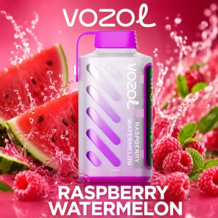 Vozol Gear Power 20000 Raspberry Watermelon
