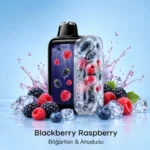 Vozol Rave 56000 Blackberry Raspberry