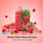 Vozol Rave 56000 Watermelon Razz Rancher