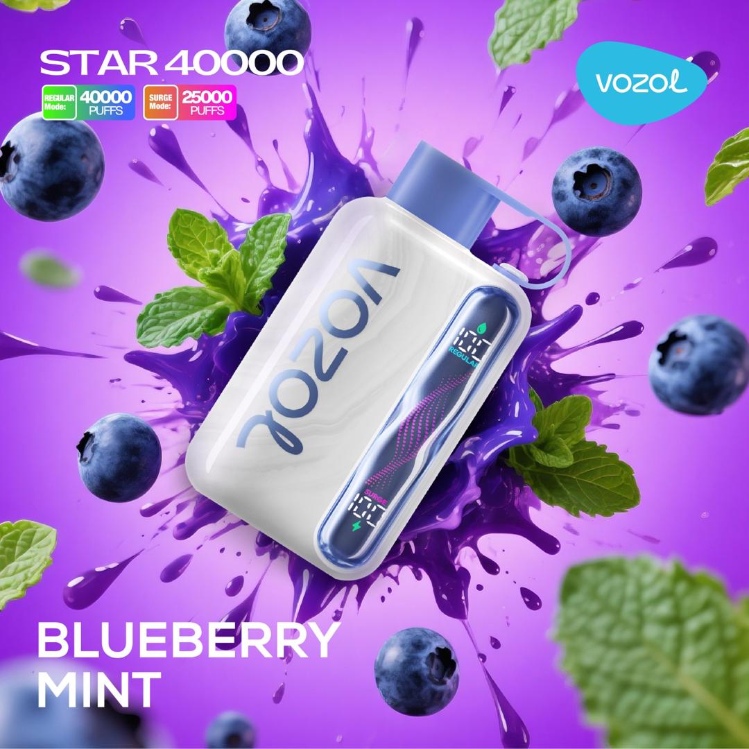 vozol-star-40000-blueberry-mint.jpg Vozol Star 40000 Blueberry Mint - Görsel 1